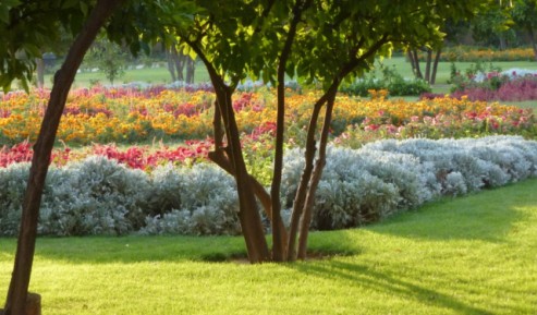 Shiraz - Jahan Nama garden